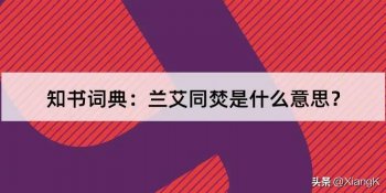 兰艾同焚什么声音_兰艾同焚的成语典故