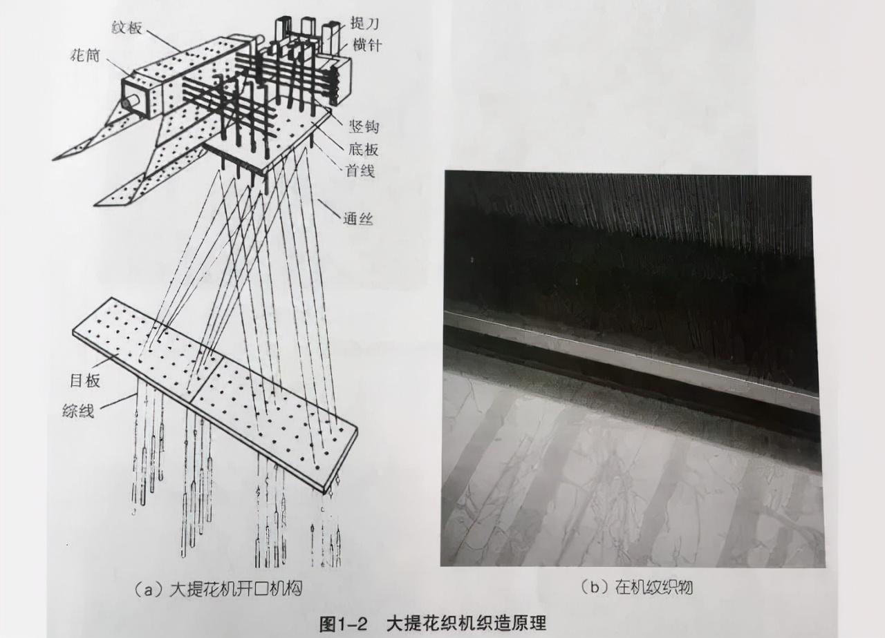 什么是提花_ 提花的面料及成分