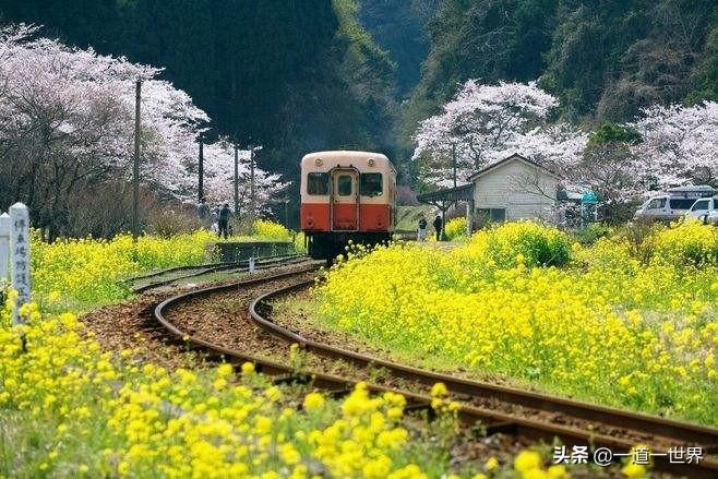 人生哲理名言有哪些_关于人生哲理名言大全