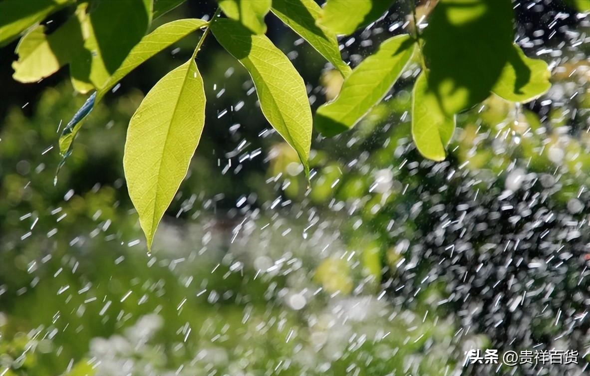 春天是雨多还是雨少_春天的天气特征