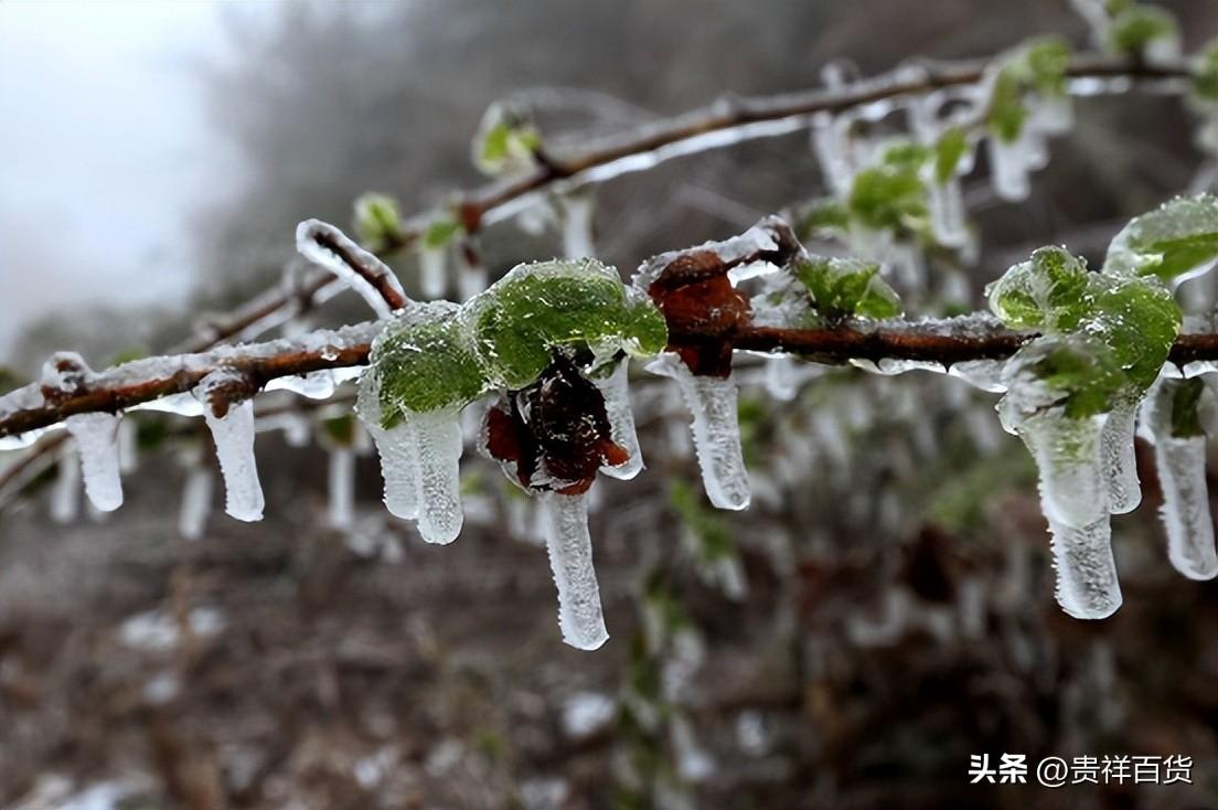 春季倒春寒什么时候结束_春季倒春寒的注意事项