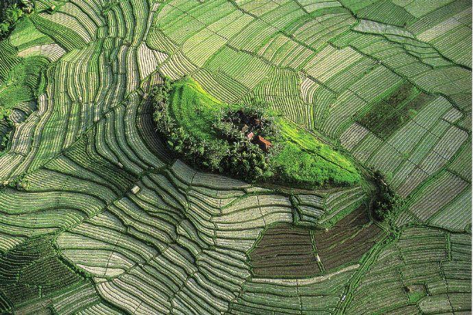 巴厘岛是哪个国家的_巴厘岛的地理位置