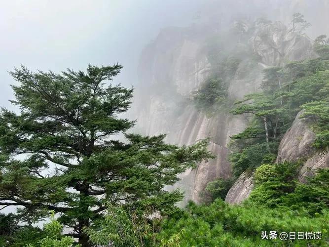 黄山位于哪里_黄山的基本概况