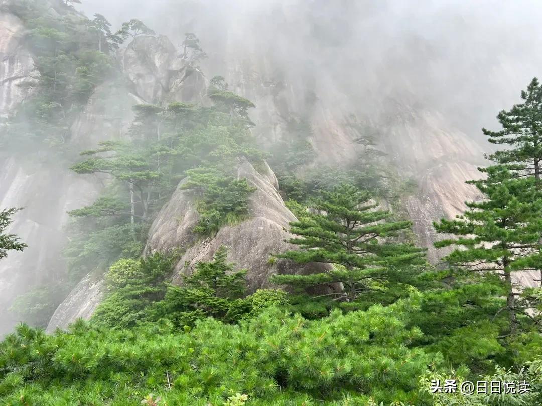 黄山位于哪里_黄山的基本概况