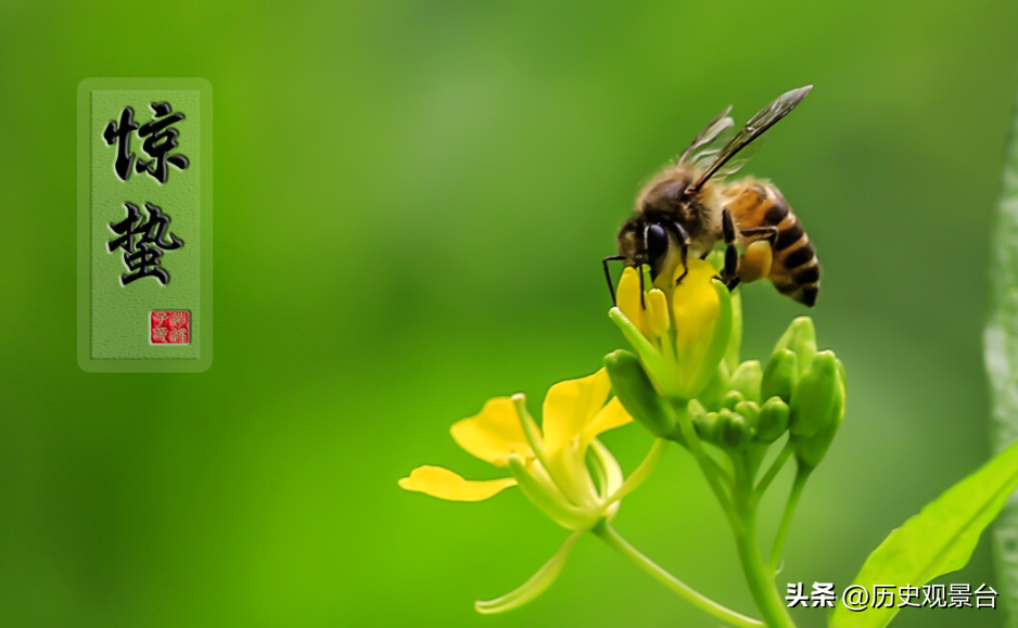 惊蛰习俗有哪些_惊蛰的传统习俗和讲究