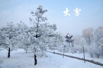 大雪不见雪来年牛马歇啥意思_有什么讲究