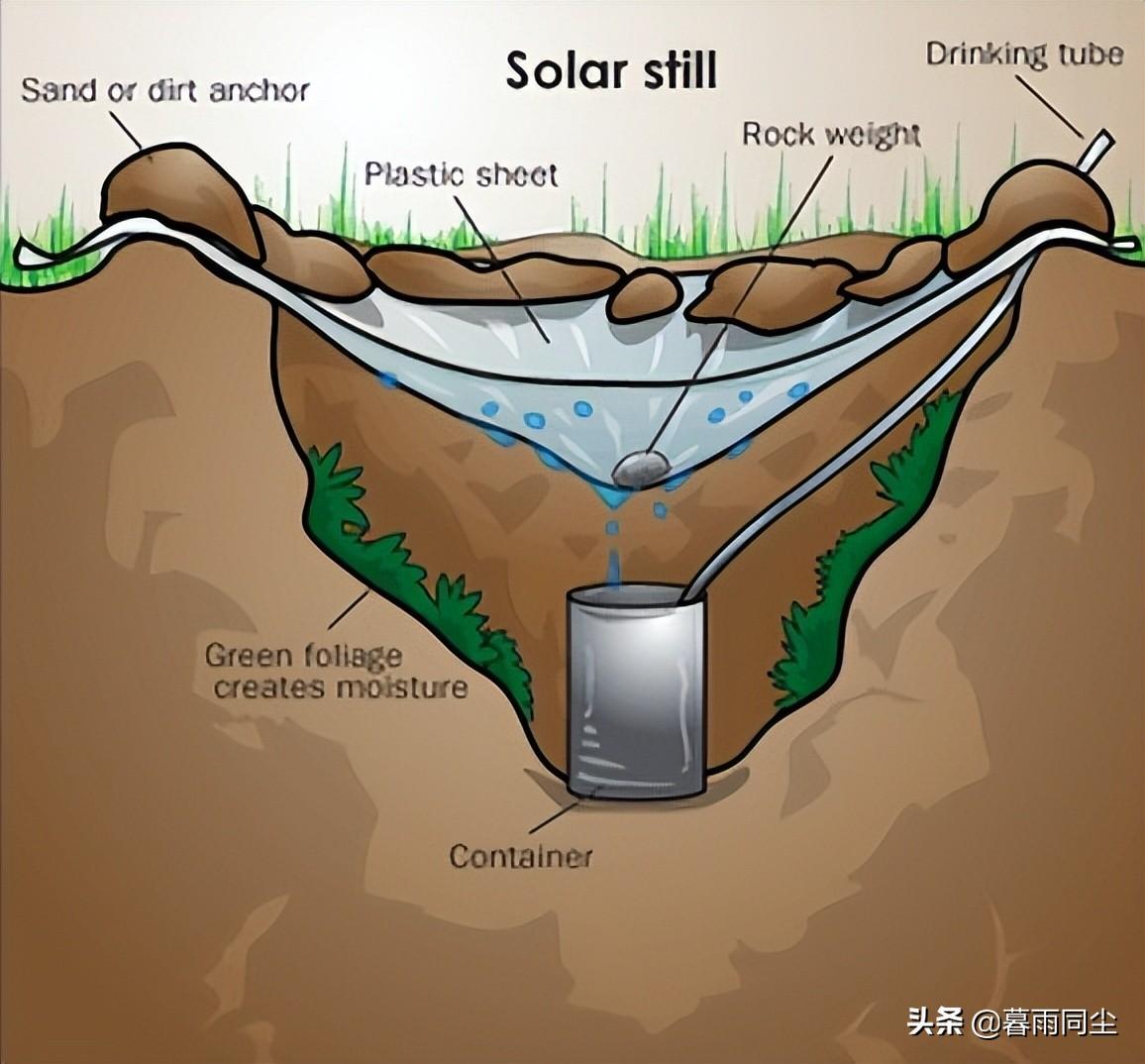 动物怎么找水源_野生动物寻找水源的方法