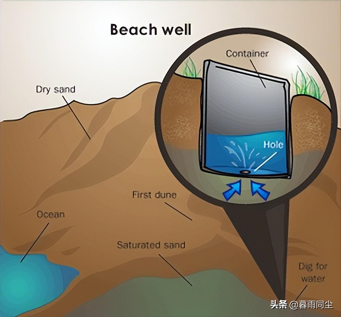 动物怎么找水源_野生动物寻找水源的方法