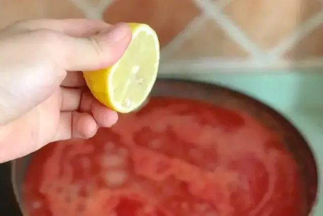 番茄酱怎么做_番茄酱的做法步骤
