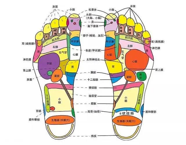 泡脚有哪些好处_泡脚的好处