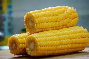 玉米可以长期当主食吗_吃玉米的注意事项
