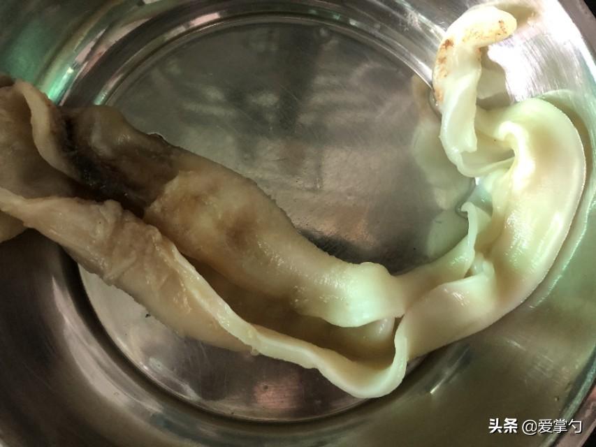 鱼胶炖牛奶怎么做_鱼胶炖牛奶的做法教程