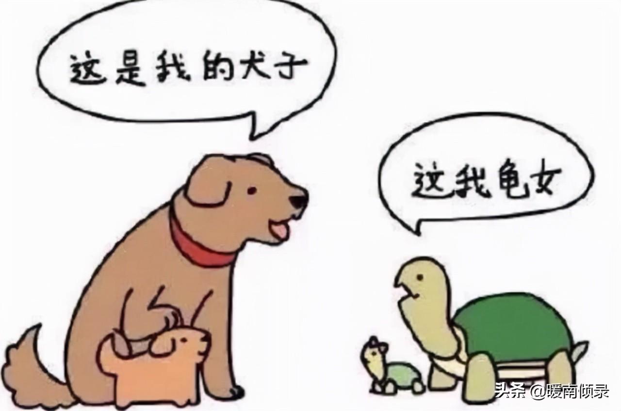 古代为何称儿子为犬子女儿为千金_你知道什么含义吗