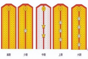 准尉到底是不是军官_准尉与高级士官的区别