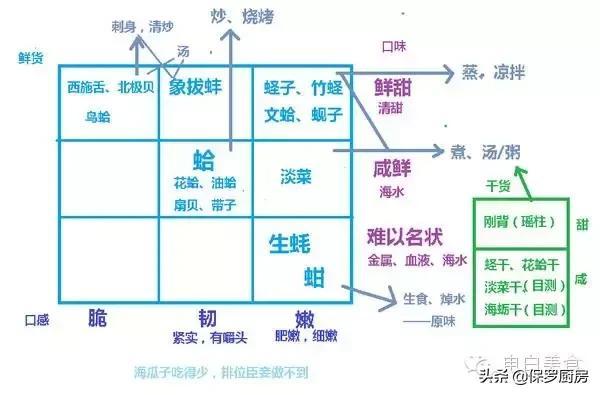 什么是花蛤_各类带壳的贝类你认识几个