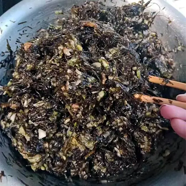 什么是海麻线_海麻线的特征和做法