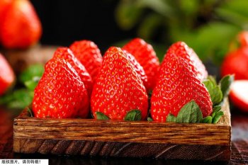 为什么说草莓是最脏的水果_一文揭晓