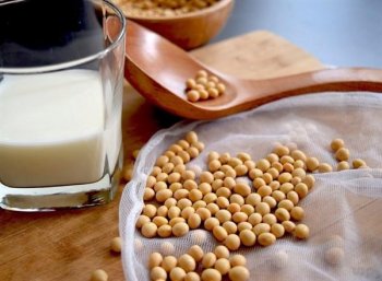 牛奶豆浆哪个有营养_牛奶豆浆的营养价值