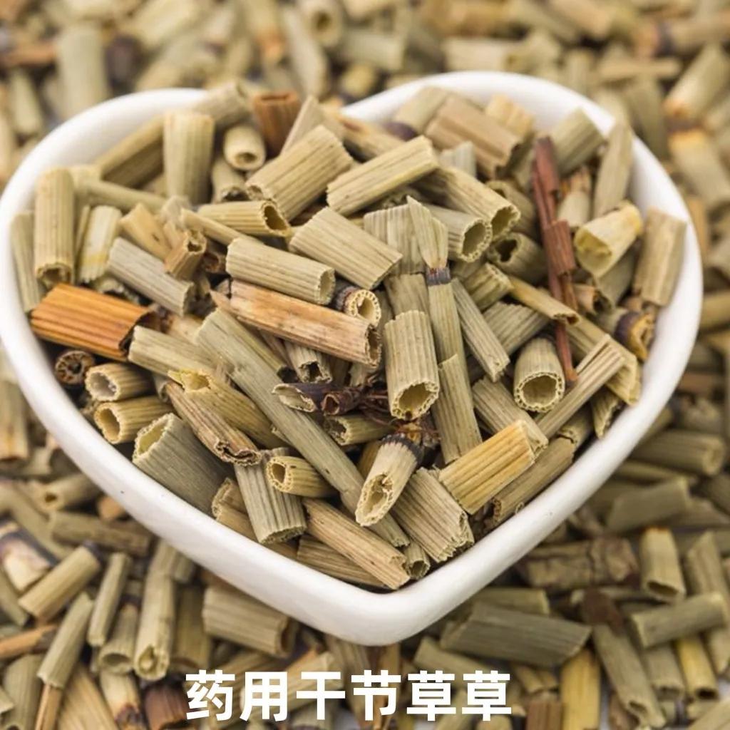 什么是节节草_节节草的特征和作用