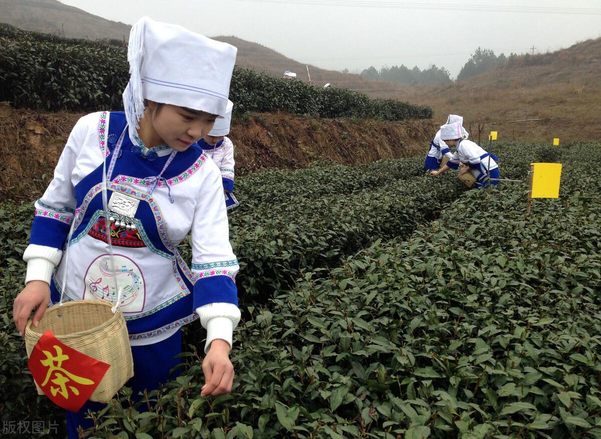 什么是布依族_布依族的详细概况