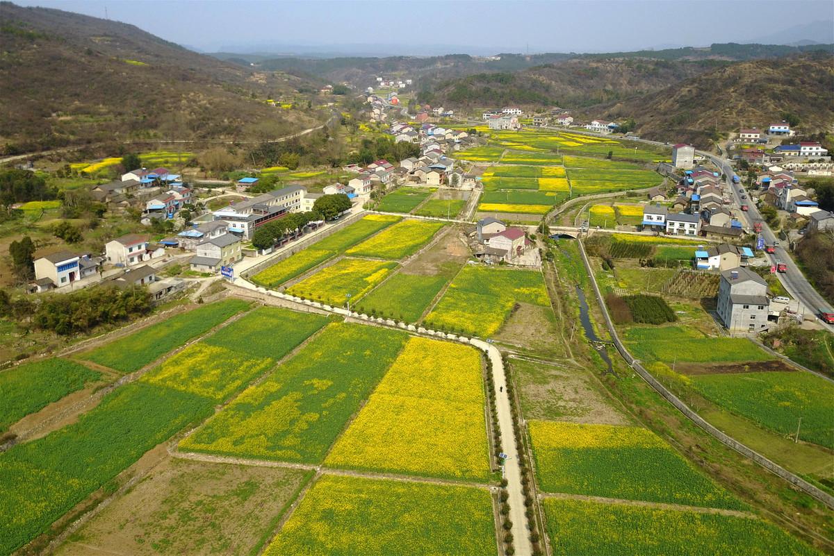 农村宅基地可以继承吗_农村宅基地继承条件