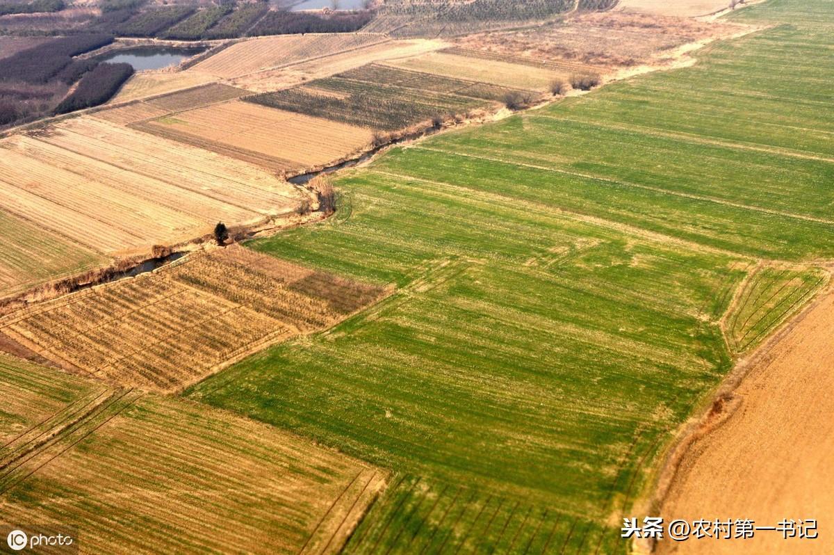 农村土地承包转让合同模板_农村土地承包转让合同范文