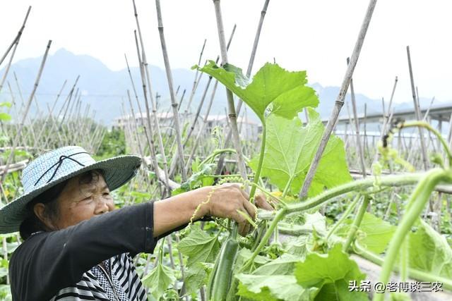 农村农场需要哪些条件_农村农场必须具备的条件