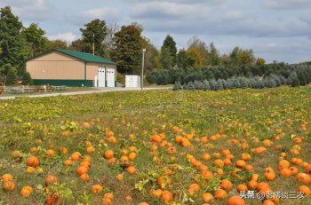 农村农场需要哪些条件_农村农场必须具备的条件