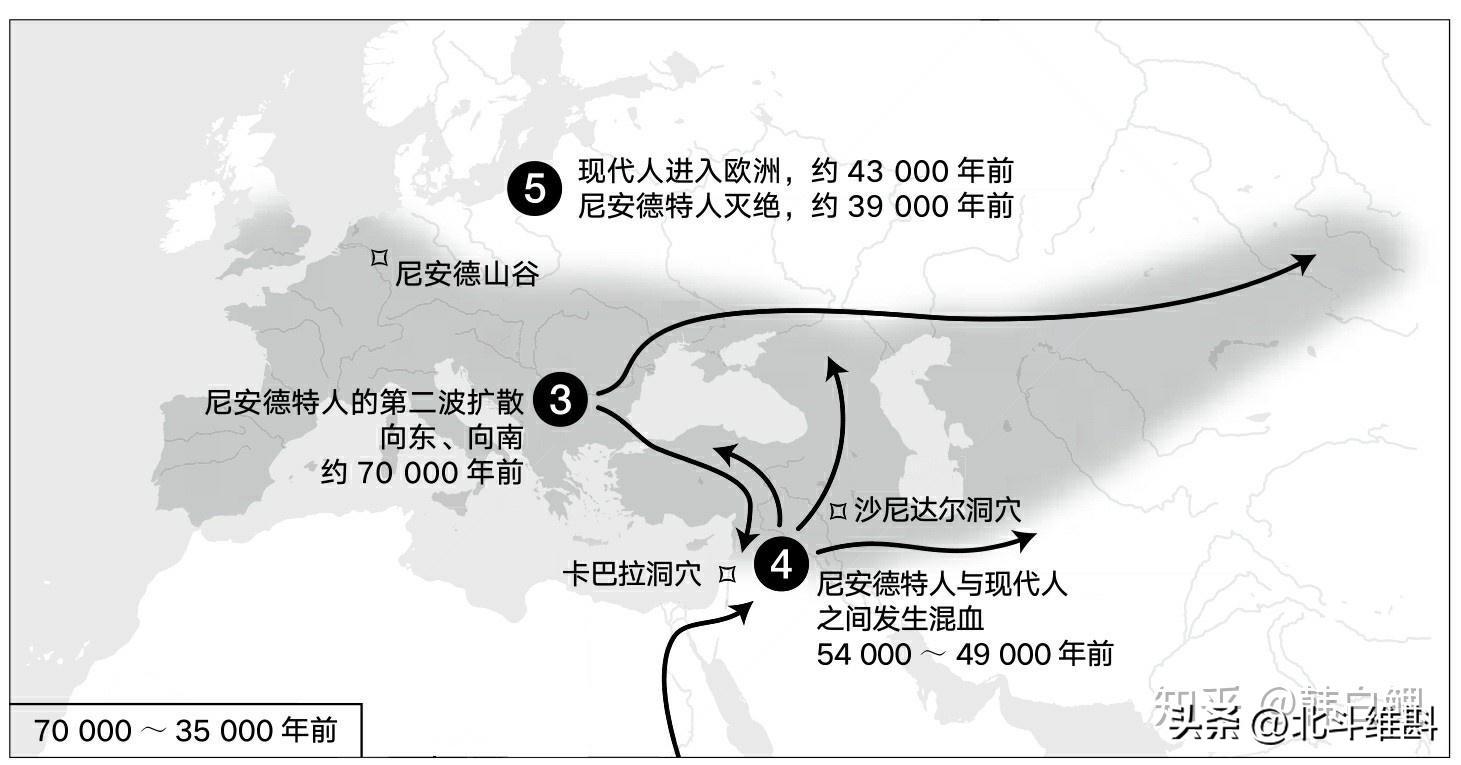 中国古人类考古是什么人物_中国古人类考古研究发展历程