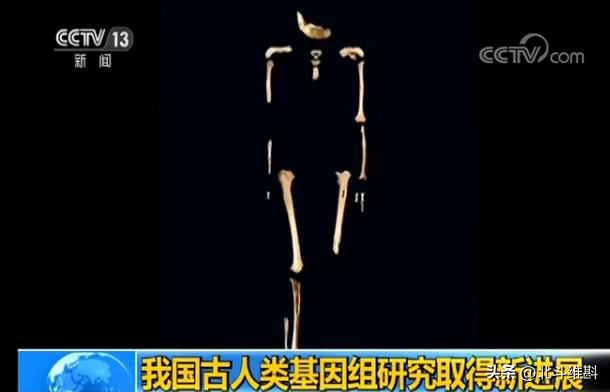 中国古人类考古是什么人物_中国古人类考古研究发展历程