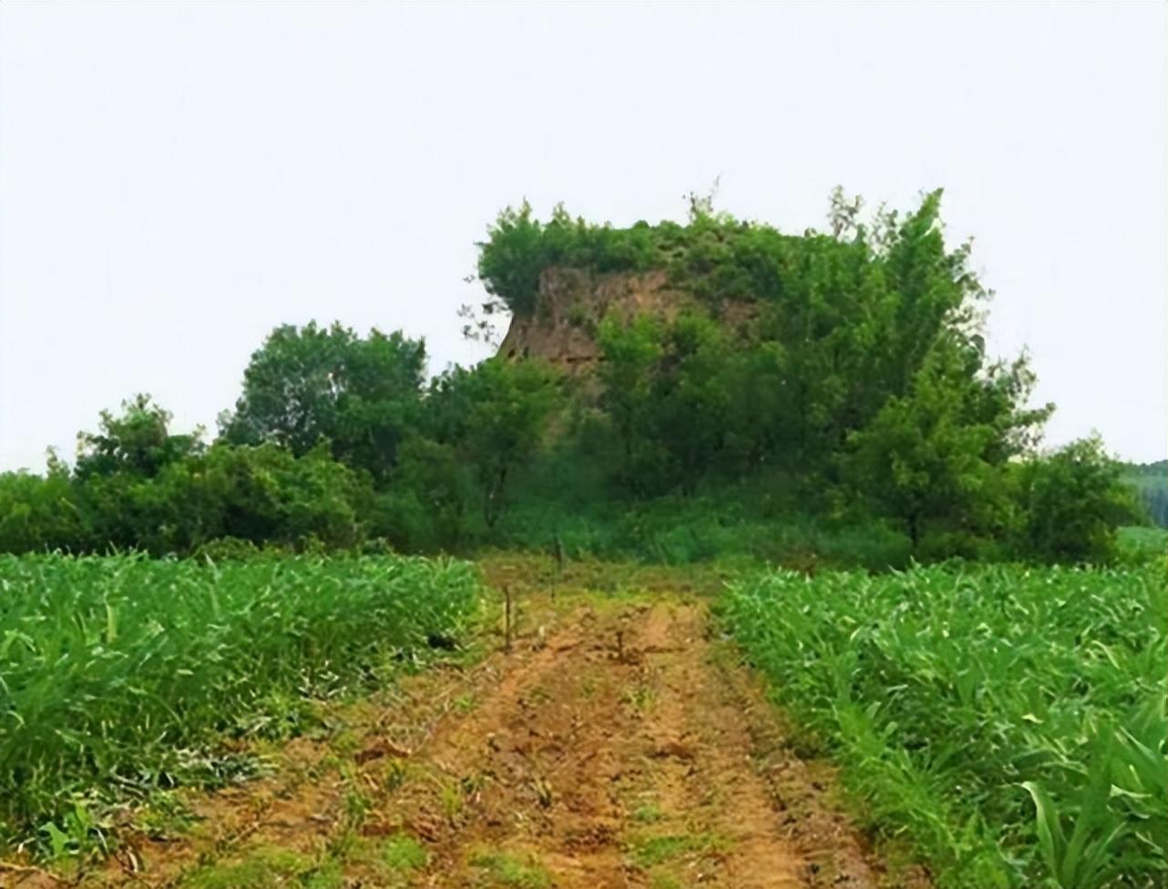 盗墓贼如何寻找古墓_有什么诀窍