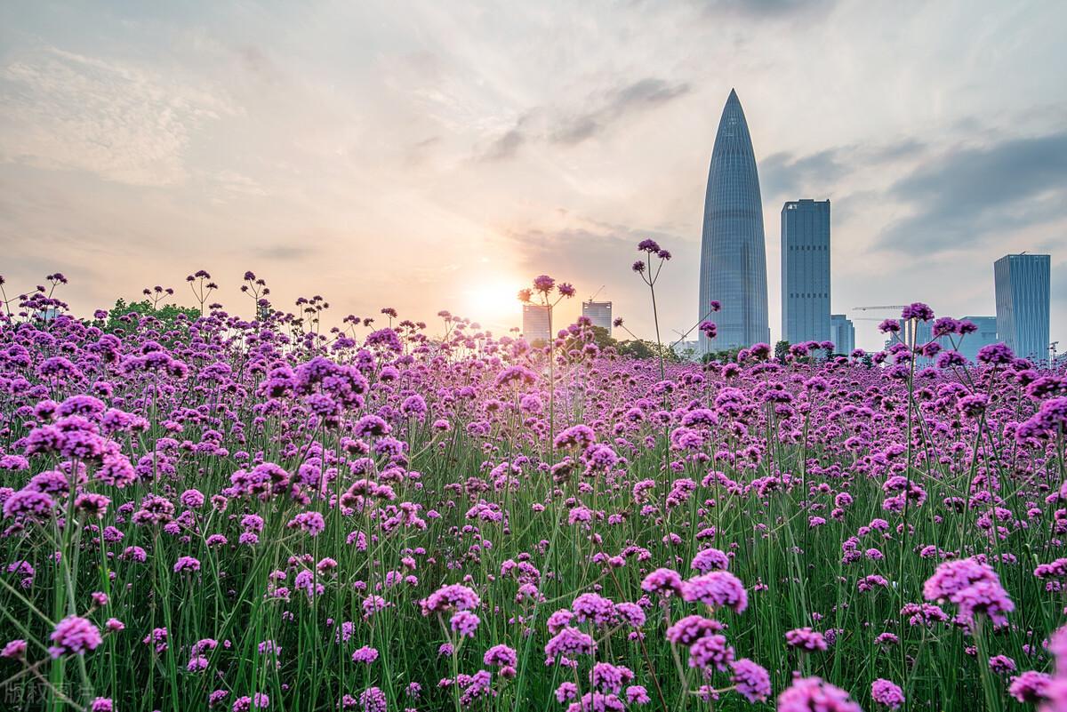 广东有哪些旅游景点_广东旅游必去十大景点