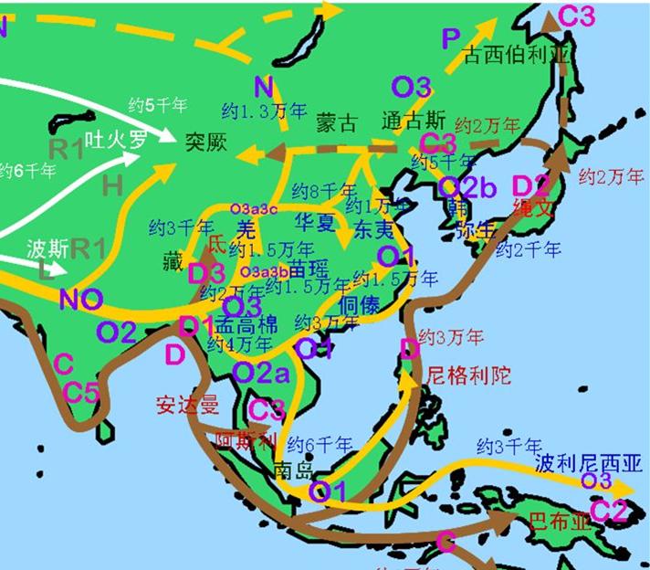 匈奴是夏人后裔吗_匈奴人是夏桀的后代吗