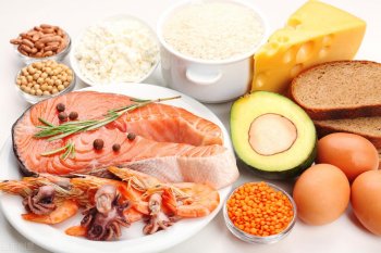 减脂期间蛋白质怎么吃_减肥期间如何补充蛋白质