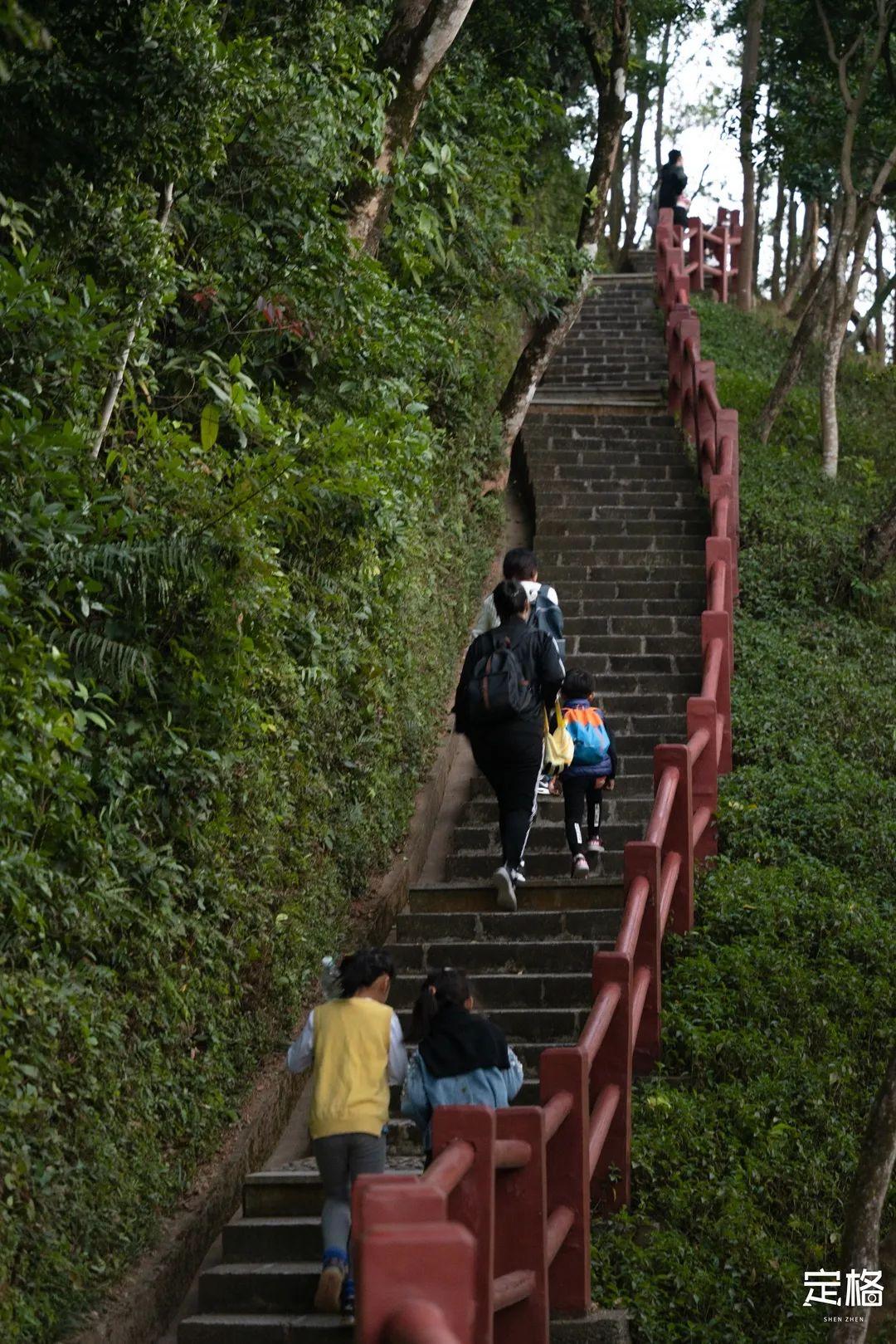 深圳福田区有哪些旅游景点_深圳福田区旅游攻略