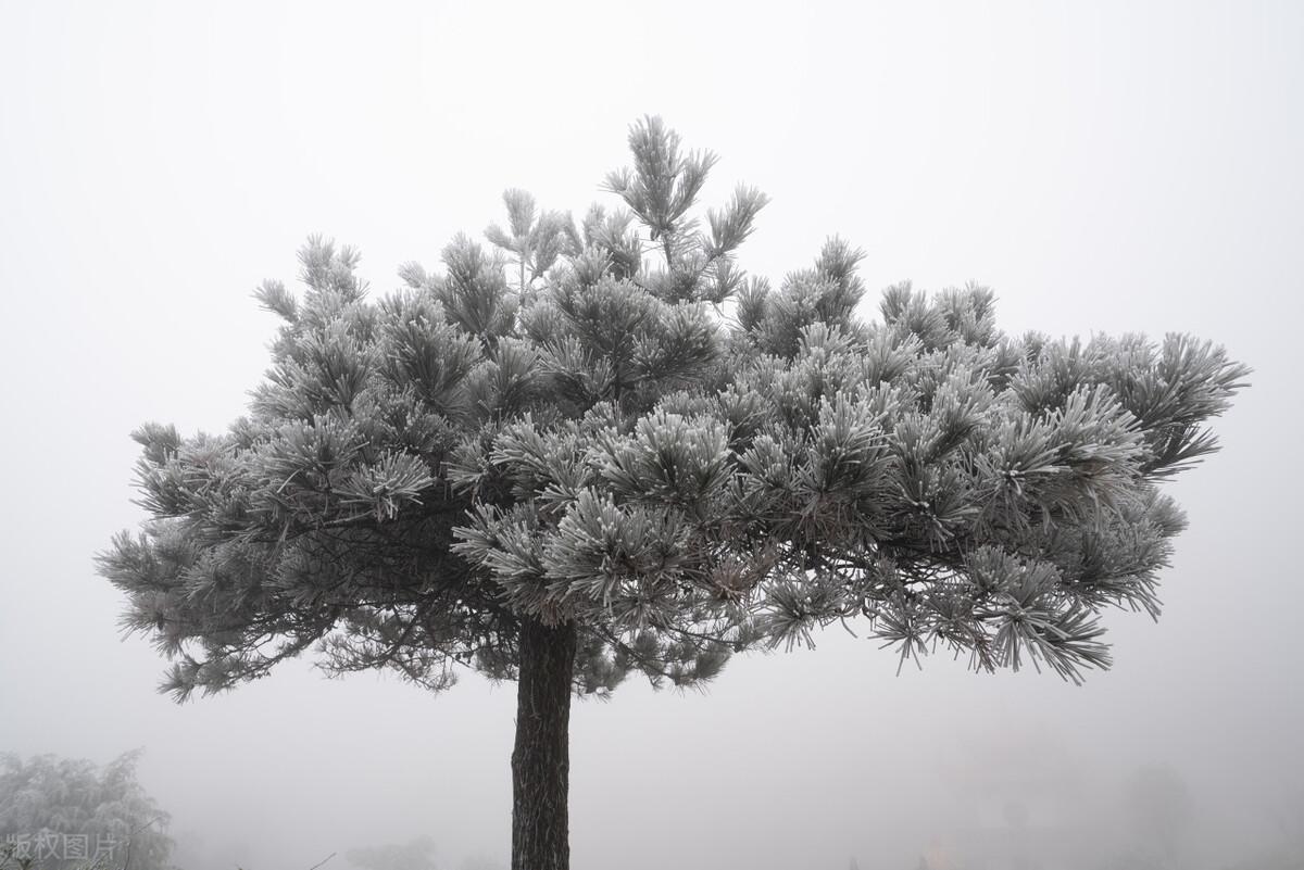 泉州景点有哪些_泉州十大景点