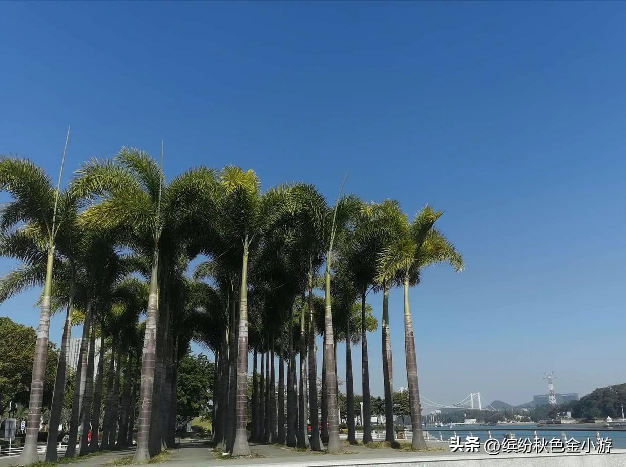 厦门海沧游玩景点有哪些_厦门海沧旅游景点大全排名