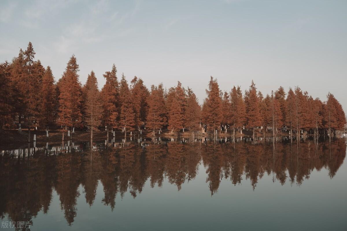 常州免费景点有哪些_常州免费的旅游景点大全