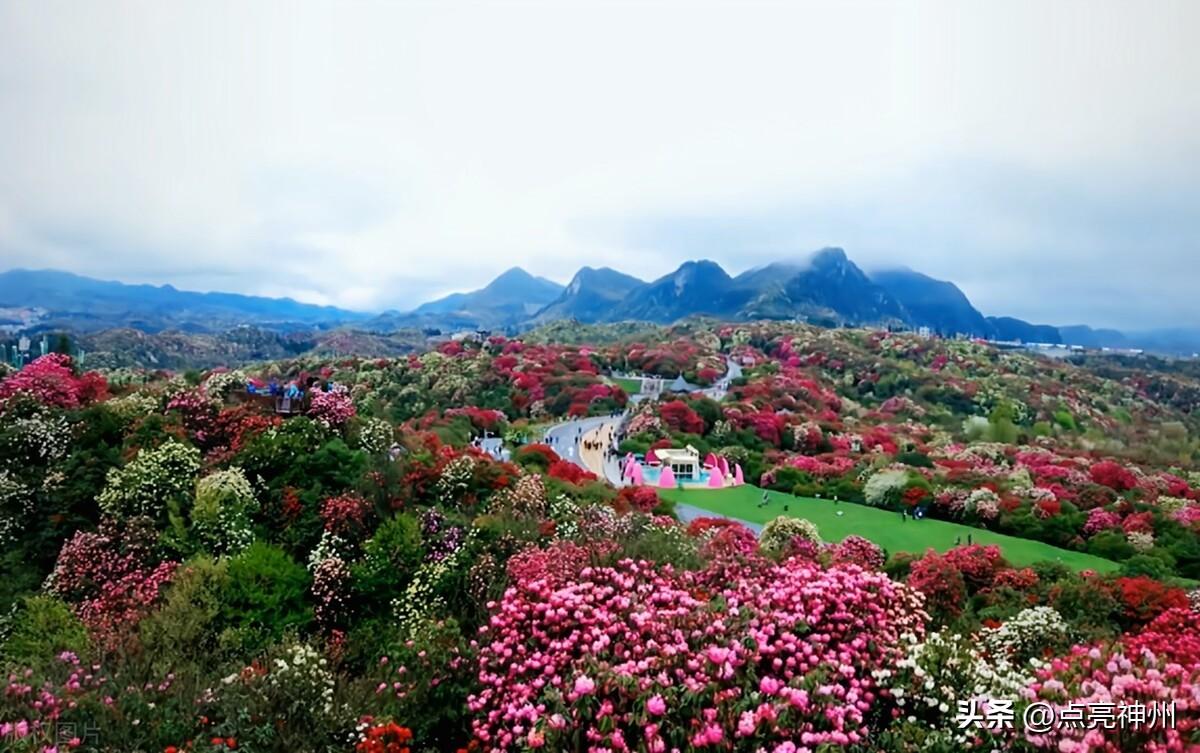 贵州有哪些旅游景点_贵州旅游景点推荐