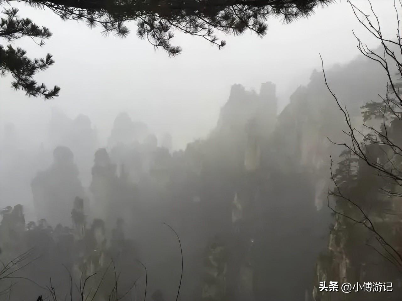 张家界旅游景点有哪些_张家界旅游必去景区