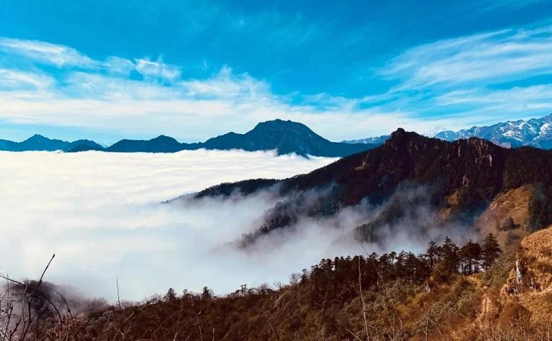 成都有哪些好玩的地方_成都旅游必去十大景点推荐