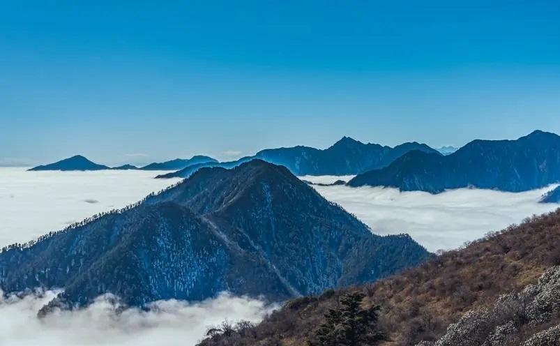 成都有哪些好玩的地方_成都旅游必去十大景点推荐