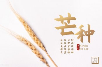 芒种节气吃什么食物好