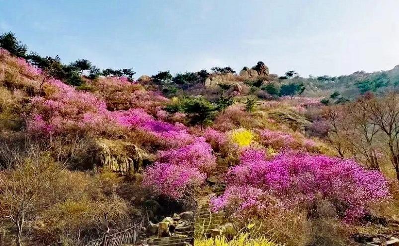 青岛景点有哪些，青岛必玩景点推荐