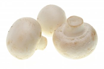 口蘑里面一圈发黑还能吃吗，口蘑切开里面是黑色正常吗