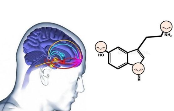 多巴胺会让人感到快乐吗，多巴胺带来的快乐