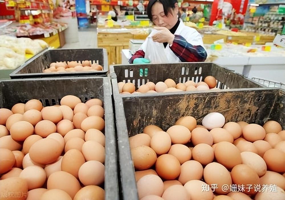 鸡蛋大小哪个好，鸡蛋大小区别