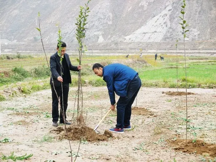 苹果树秋栽好还是春栽好，果树秋栽和春栽有什么区别