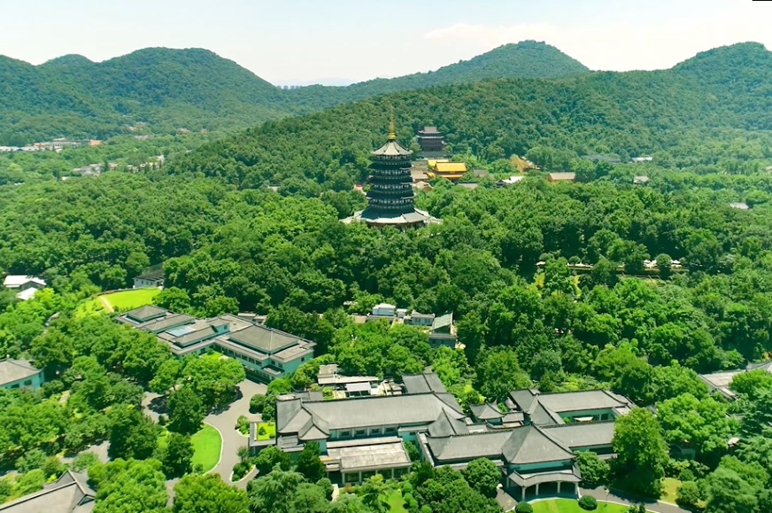 1斤百元与千元的西湖龙井区别在哪