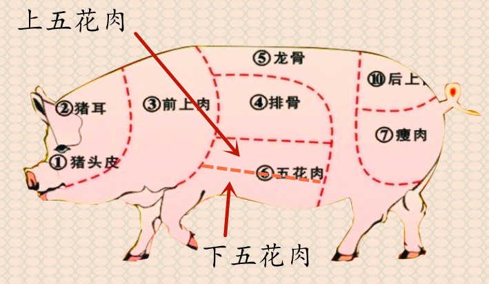 五花肉买上五花还是下五花好，五花肉哪个地方的好